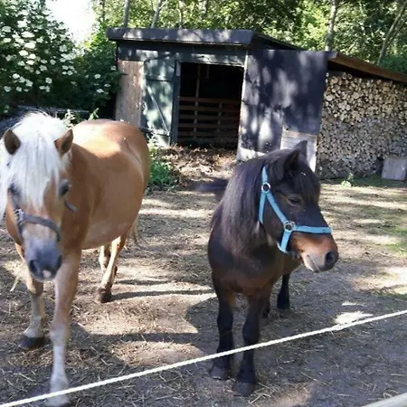 Ferienwohnung-rosenrot-auf-dem-ferien-bauernhof-nilson-in-inselmitte * Bisdorf