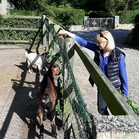 Ferienwohnung-rosenrot-auf-dem-ferien-bauernhof-nilson-in-inselmitte *